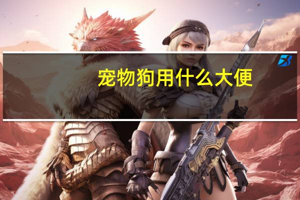 宠物狗用什么大便