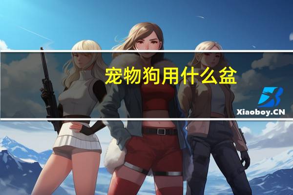 宠物狗用什么盆