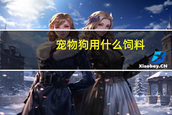 宠物狗用什么饲料
