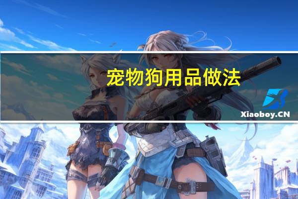 宠物狗用品做法