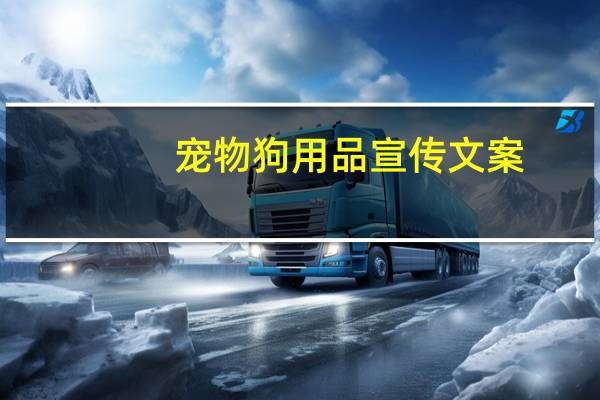 宠物狗用品宣传文案