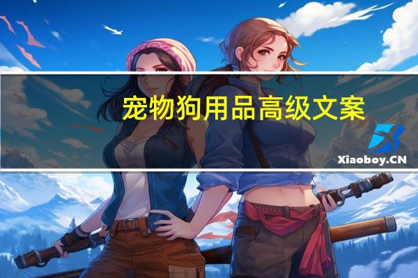 宠物狗用品高级文案