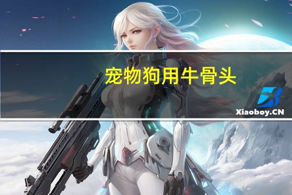 宠物狗用牛骨头