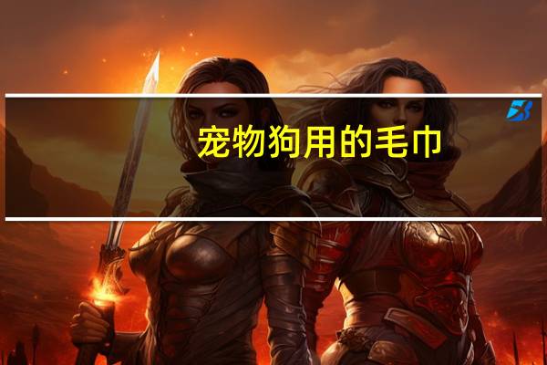 宠物狗用的毛巾