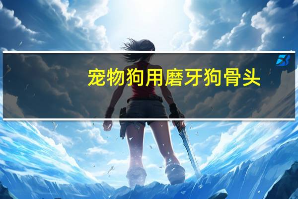 宠物狗用磨牙狗骨头