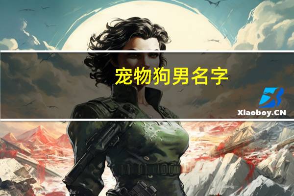 宠物狗男名字