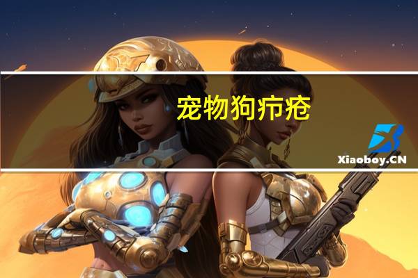 宠物狗疖疮
