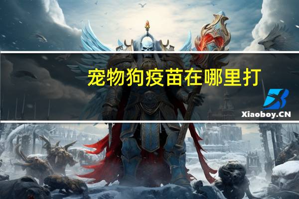 宠物狗疫苗在哪里打