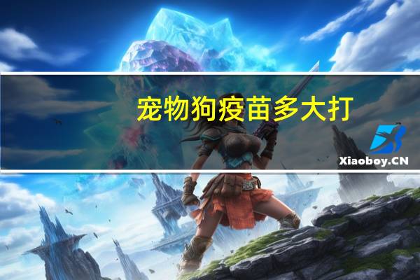 宠物狗疫苗多大打
