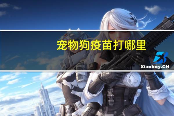 宠物狗疫苗打哪里