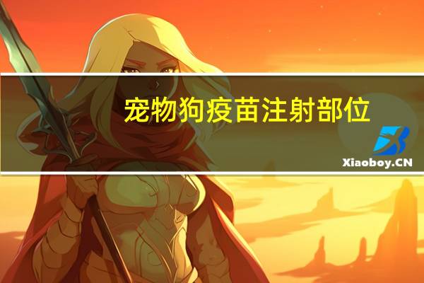 宠物狗疫苗注射部位