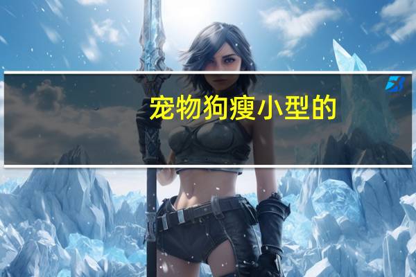 宠物狗瘦小型的