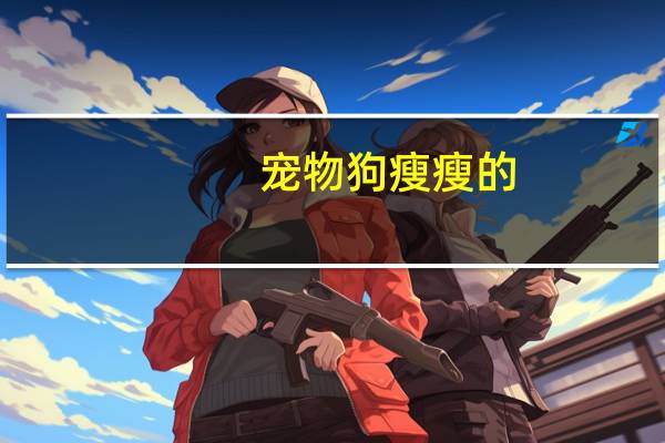 宠物狗瘦瘦的