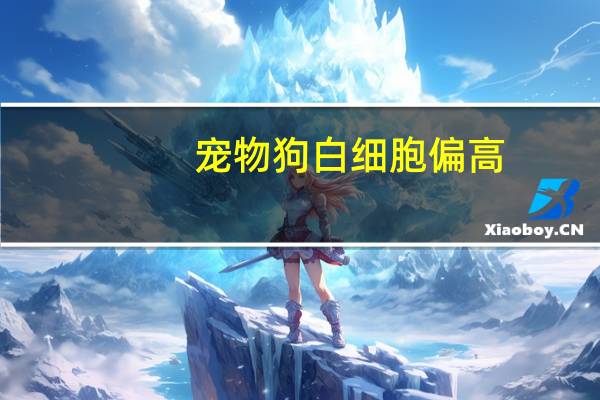 宠物狗白细胞偏高