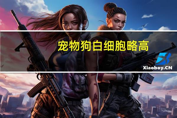 宠物狗白细胞略高