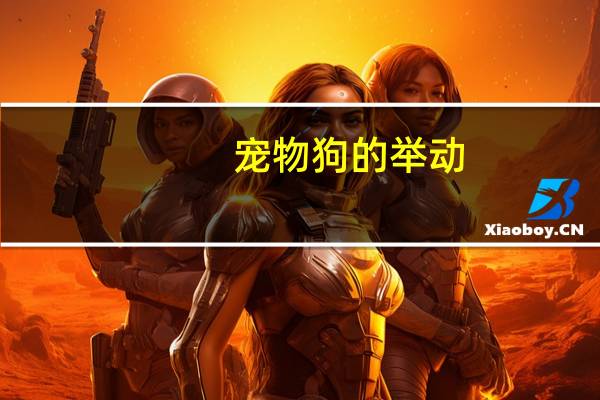 宠物狗的举动