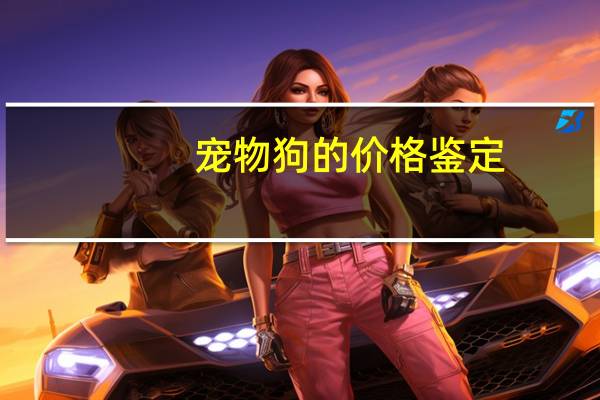 宠物狗的价格鉴定