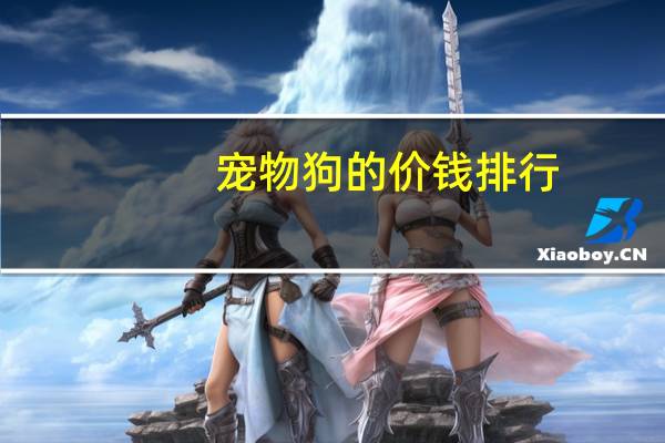 宠物狗的价钱排行