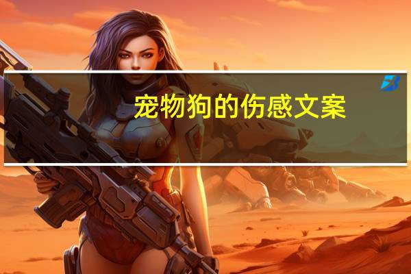 宠物狗的伤感文案