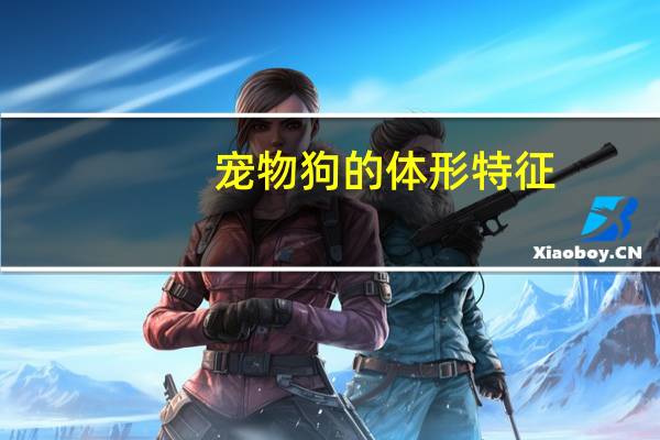 宠物狗的体形特征