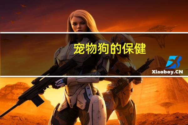 宠物狗的保健