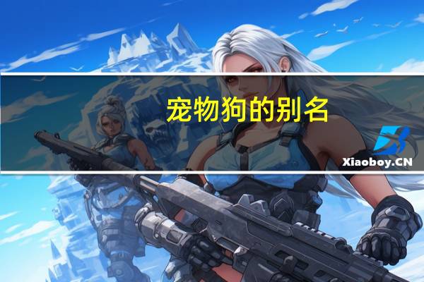 宠物狗的别名