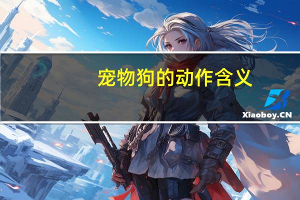 宠物狗的动作含义