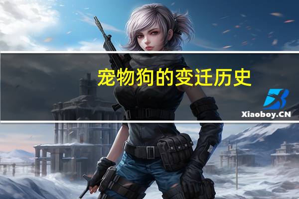 宠物狗的变迁历史