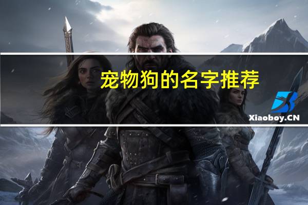 宠物狗的名字推荐