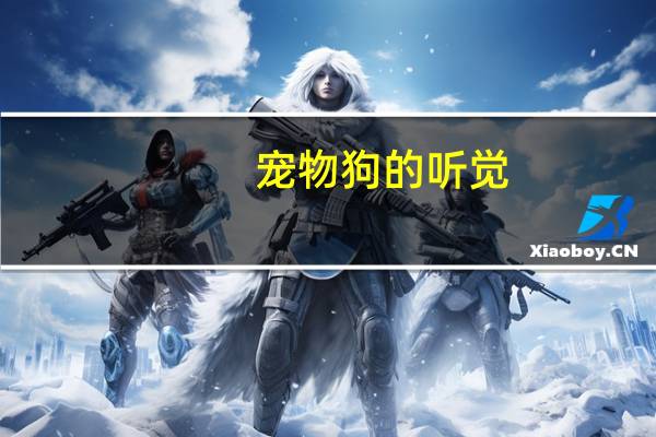 宠物狗的听觉