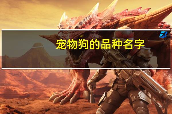 宠物狗的品种名字