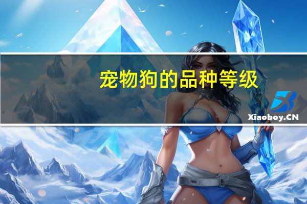 宠物狗的品种等级