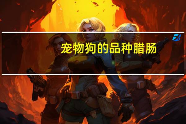宠物狗的品种腊肠