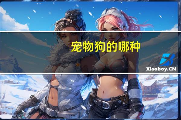 宠物狗的哪种