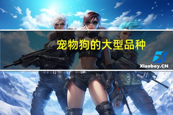 宠物狗的大型品种