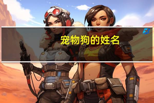 宠物狗的姓名