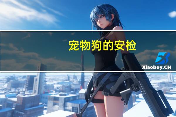 宠物狗的安检