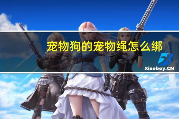 宠物狗的宠物绳怎么绑