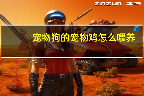 宠物狗的宠物鸡怎么喂养