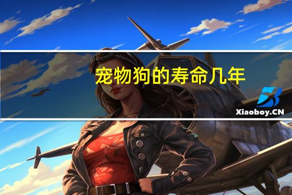 宠物狗的寿命几年