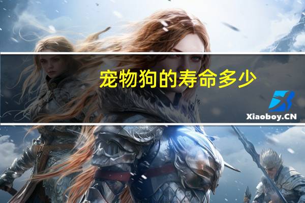 宠物狗的寿命多少