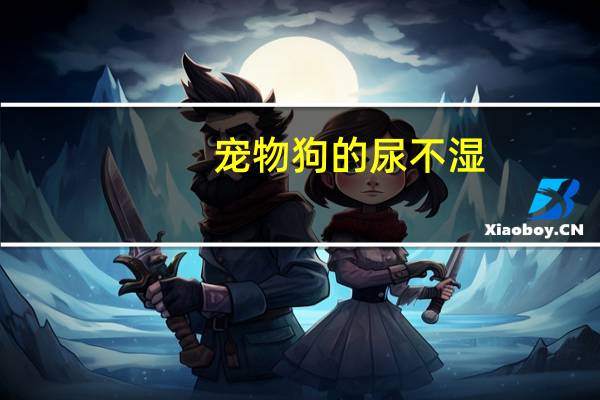 宠物狗的尿不湿