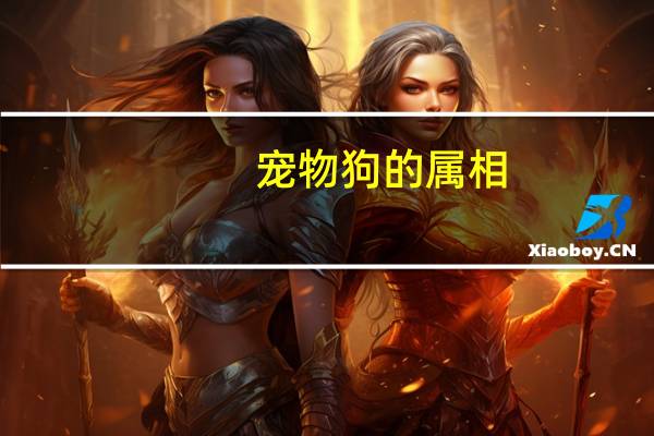 宠物狗的属相