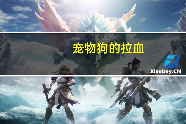 宠物狗的拉血