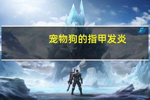 宠物狗的指甲发炎