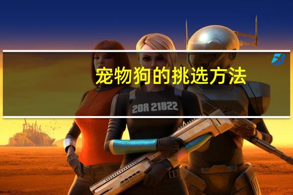 宠物狗的挑选方法
