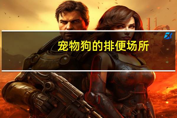 宠物狗的排便场所