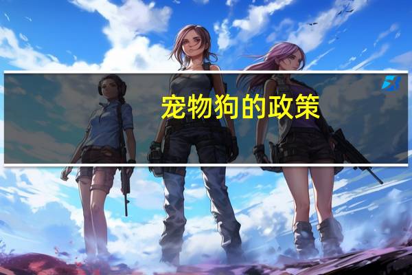 宠物狗的政策