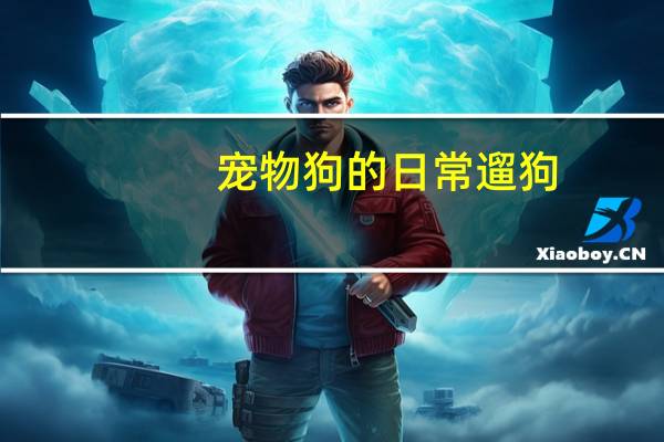 宠物狗的日常遛狗
