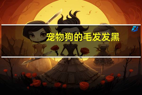 宠物狗的毛发发黑